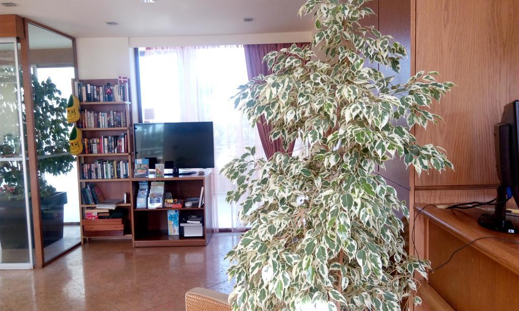 Eria Resort For People With Special Abilities 马莱迈 外观 照片