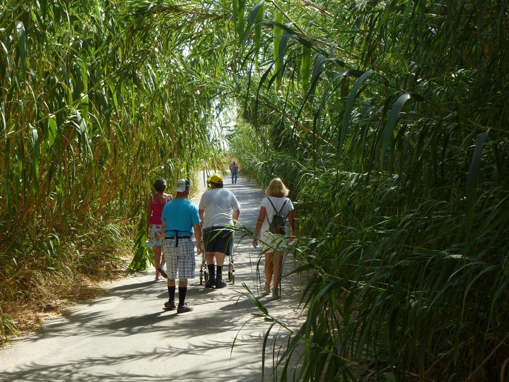 Eria Resort For People With Special Abilities 马莱迈 外观 照片